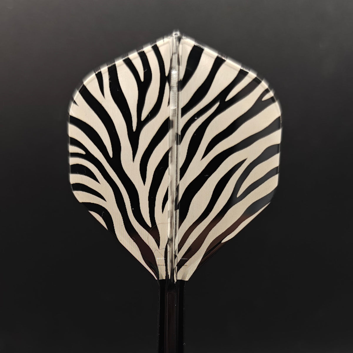 Animal Print K - FLEX - Jurassic Points