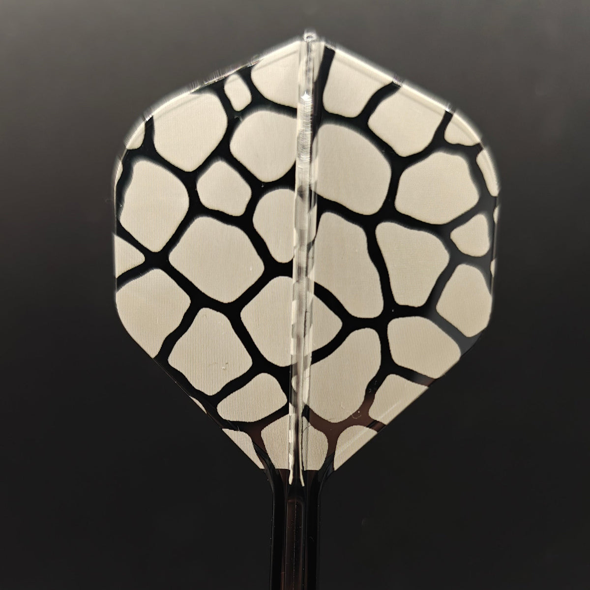 Animal Print K - FLEX - Jurassic Points