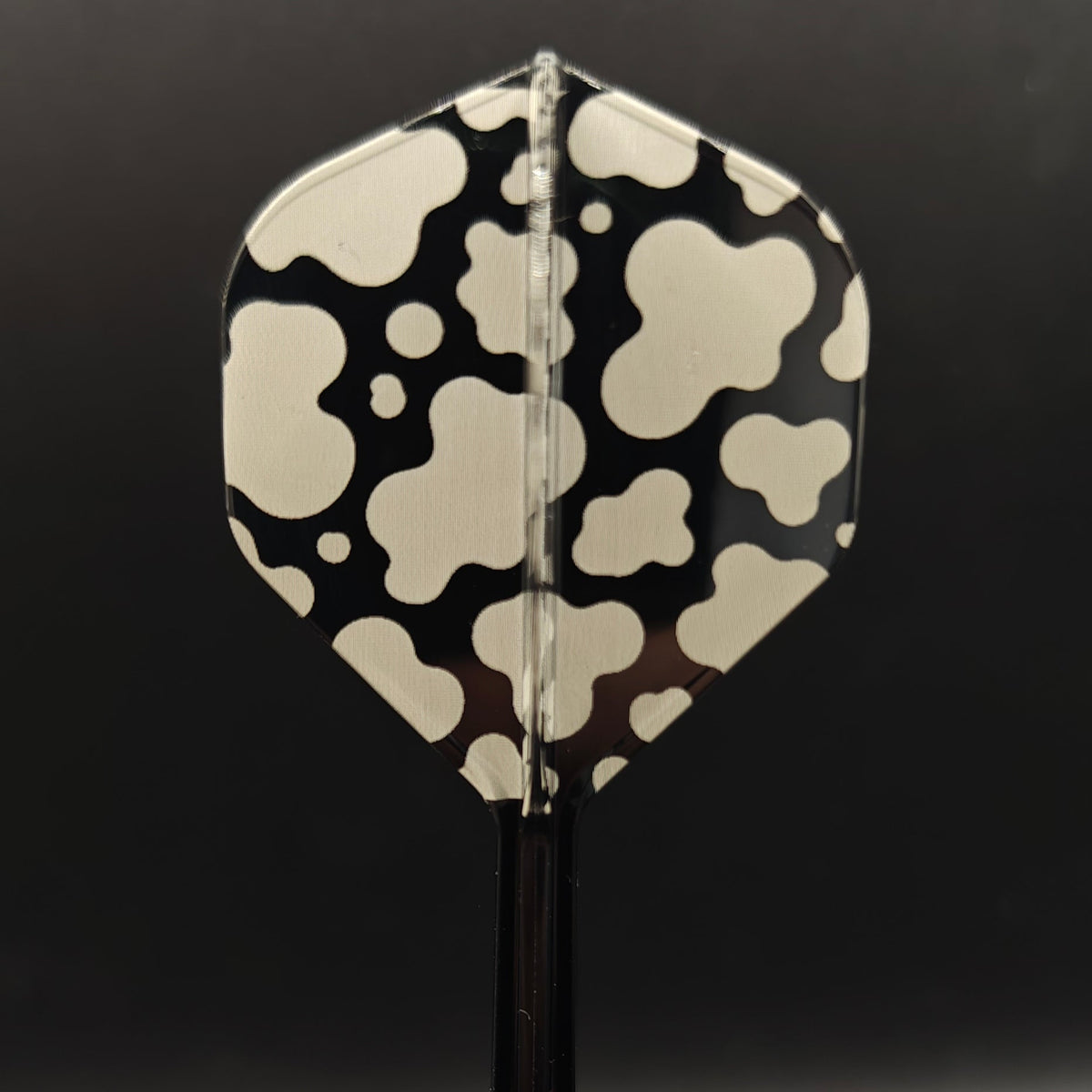 Animal Print K - FLEX - Jurassic Points