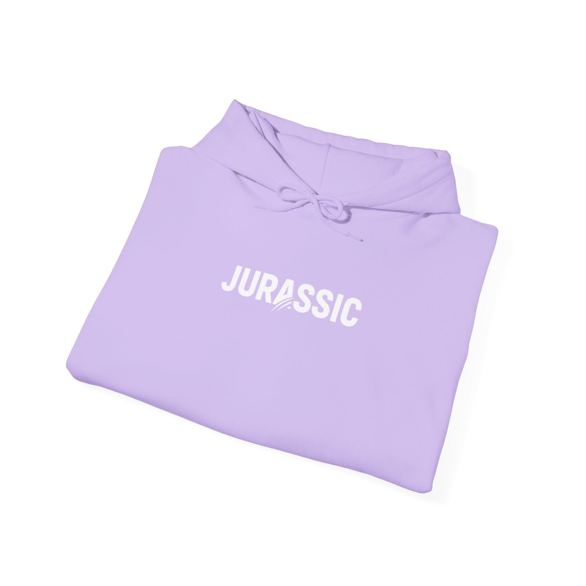 Jurassic Logo Hoodie - Jurassic Points