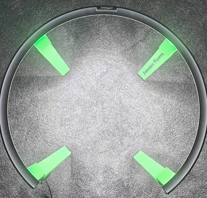 Jurassic Omni Dartboard Surround Cover - Jurassic Points