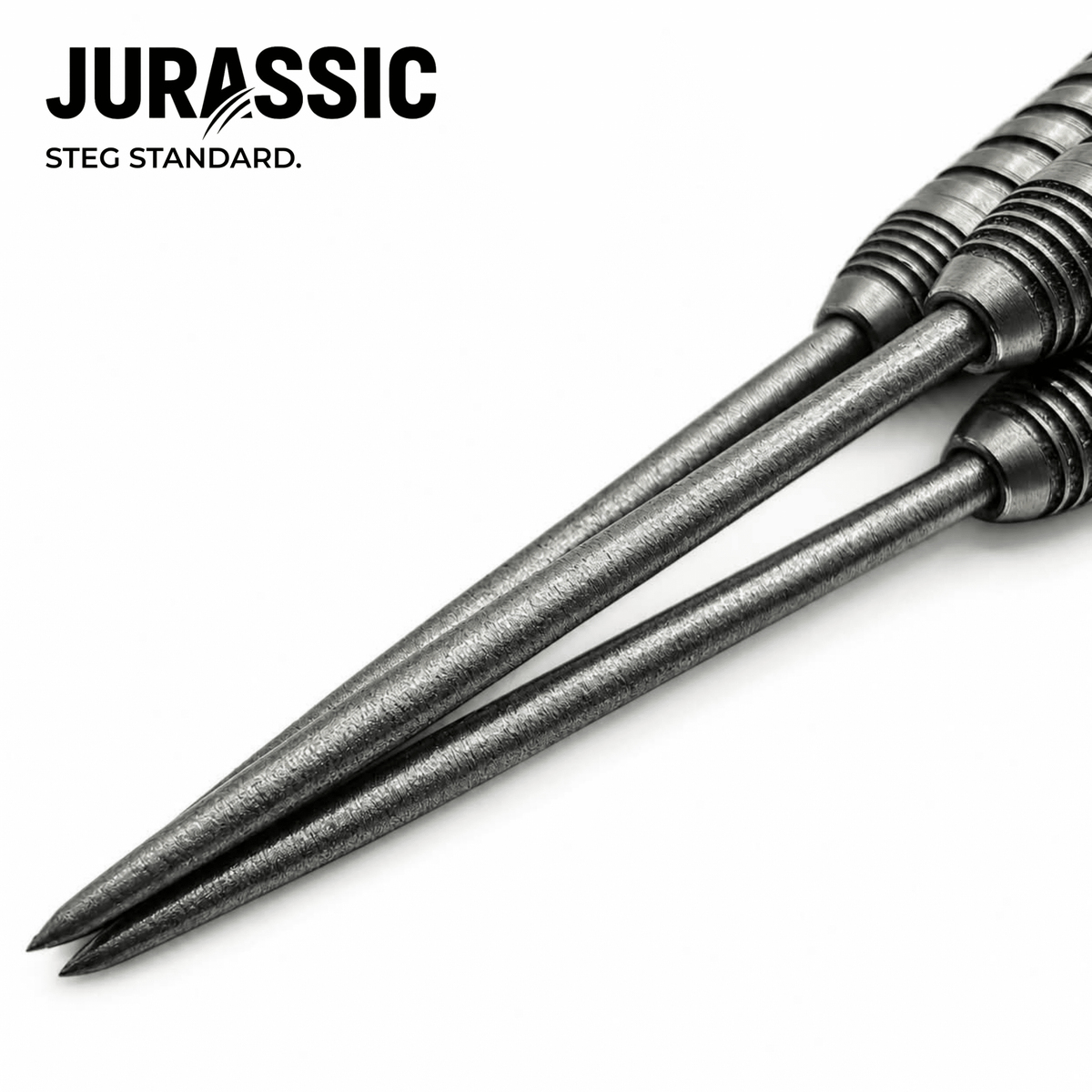 STEG Standard Points - Jurassic Darts