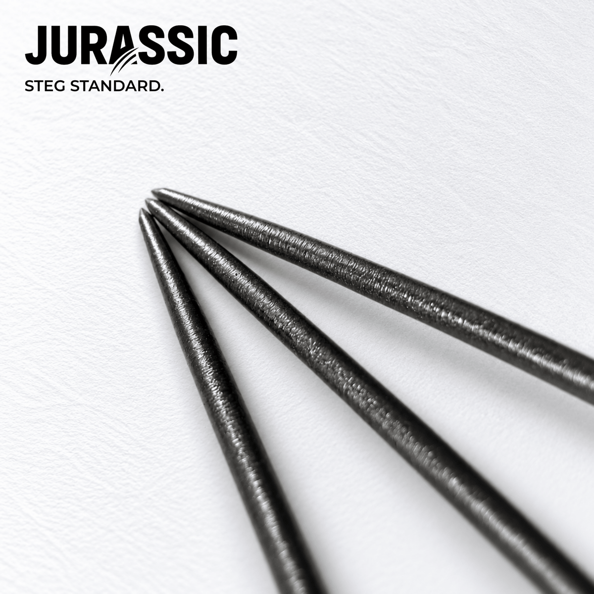 STEG Standard Points - TRADE - Jurassic Darts
